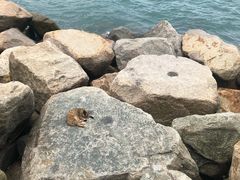 -香港会议展览中心演讲厅