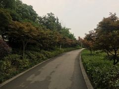 -澹台湖公园