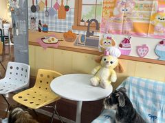 -汪说·狗咖·拼豆·宠物周边DIY(旺城大厦店)