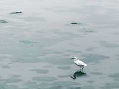 -龙舟池
