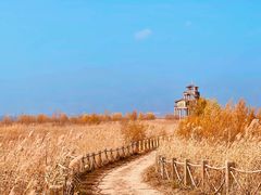 -野鸭湖国家湿地公园