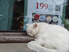 -衣裳街历史文化街区