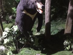 -吉林省自然博物馆