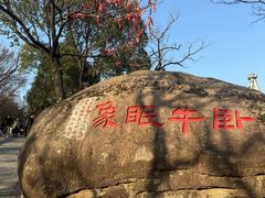 -灵岩山风景区