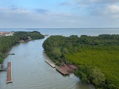 -东寨港红树林旅游区