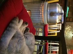 Mikaku-MIKAKU(万达广场上海宝山店)