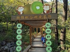 -大岭沟猕猴桃谷风景区