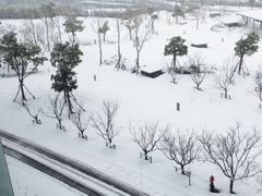 -金陵之星大酒店·中餐厅