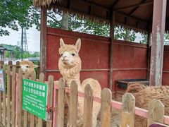 -王借岗森林公园