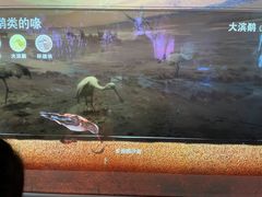 -中国湿地博物馆