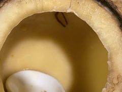 -佛有缘·32年老字号(广州首店)