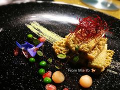 -凤凰湘语·湘粤鲜融(浦东旗舰店)