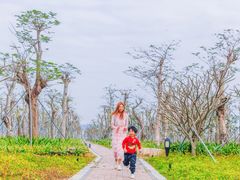 -芒洲湿地公园