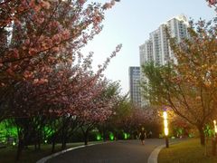 -苏州河梦清园环保主题公园