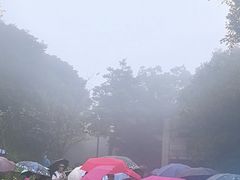 -普陀山风景区-佛顶山