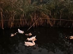 -日出青木·杭帮菜名店