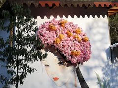 -龙湾潭国家森林公园