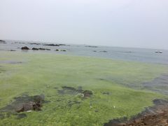 第二海水浴场-青岛第二海水浴场