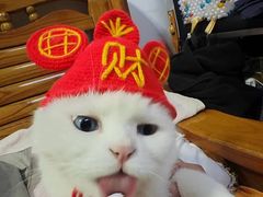 -簋街