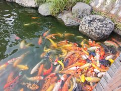 -大门水乡·顺德菜