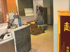 -瑞派申生动物医院·24H夜诊·国际动物医疗中心·骨外科(吴中路店)