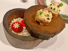 -蝶舍·MAISON PAPILLON