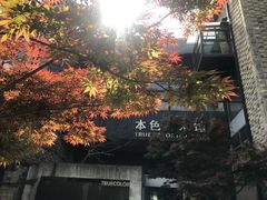 -苏州本色美术馆