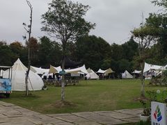 -上海海湾国家森林公园