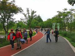 -上海长兴岛郊野公园