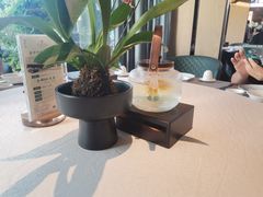 -晋江荣誉国际酒店·港誉茶餐厅