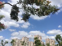 -旺泉餐饮店·清真牛肉面馆