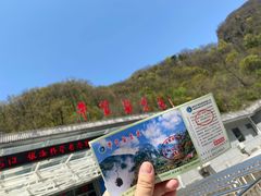 -牛背梁国家森林公园