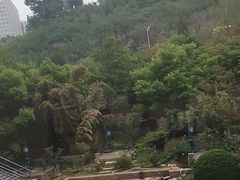 -济南喜来登酒店-盛宴自助西餐厅·综合自助