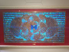 -上海昆虫博物馆