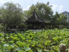 -上海醉白池公园