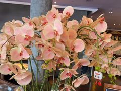 -八府香鸭·啫啫煲(华山路店)