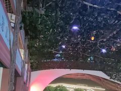 -苏州湾梦幻水世界