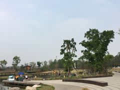 -白鹭湾湿地公园