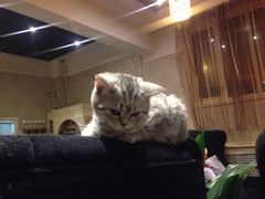 iphone_upload_pic-吱咖啡西式简餐