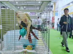 -东浩兰生上海世博展览馆