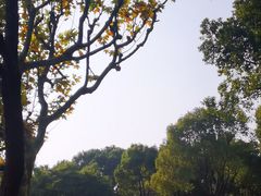 -黄兴公园