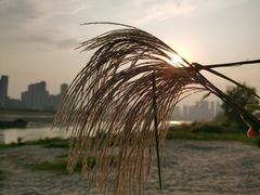 -汉江湾体育公园