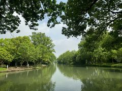 -西溪国家湿地公园