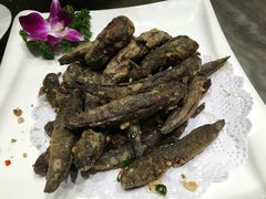 -海蓝海鲜馆(五四北店)