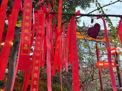 -巴倒烫陆派火锅山庄(南山总店)