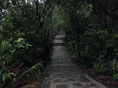 -梅沙尖