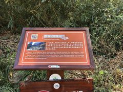 -武夷山风景名胜区-玉女峰