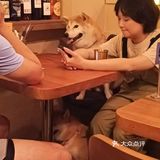 有趣的汉堡店
