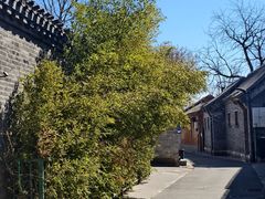 -春风习习