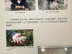 -重庆自然博物馆(新馆)